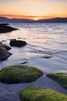 Download Bantry Bay, Ireland Journal: 150 Page Lined Notebook/Diary -  | ePub