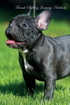 Full Download French Bulldog January Notebook & Journal. Also French Bulldog Notepad, to Do List, Academic Notepad, Scrap Book, Diary - Frenchie World | PDF