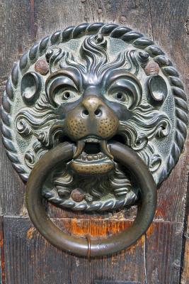Download Decorative Brass Lion Door Knocker Journal: 150 Page Lined Notebook/Diary -  file in ePub