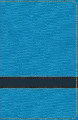 Read KJV Study Bible for Boys Ocean/Navy Leathertouch - Lawrence O. Richards | PDF