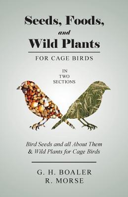 Full Download Seeds, Foods, and Wild Plants for Cage Birds - In Two Sections: Bird Seeds and All about Them & Wild Plants for Cage Birds - G H Boaler | PDF