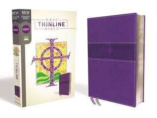 Read Online NRSV, Thinline Bible, Leathersoft, Purple, Comfort Print - Anonymous | ePub