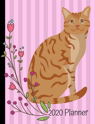 Full Download 2020 Planner: Orange Tabby Cat Pink 2020 Monthly Planner Organizer Undated Calendar And ToDo List Tracker Notebook - Happytails Stationary | ePub